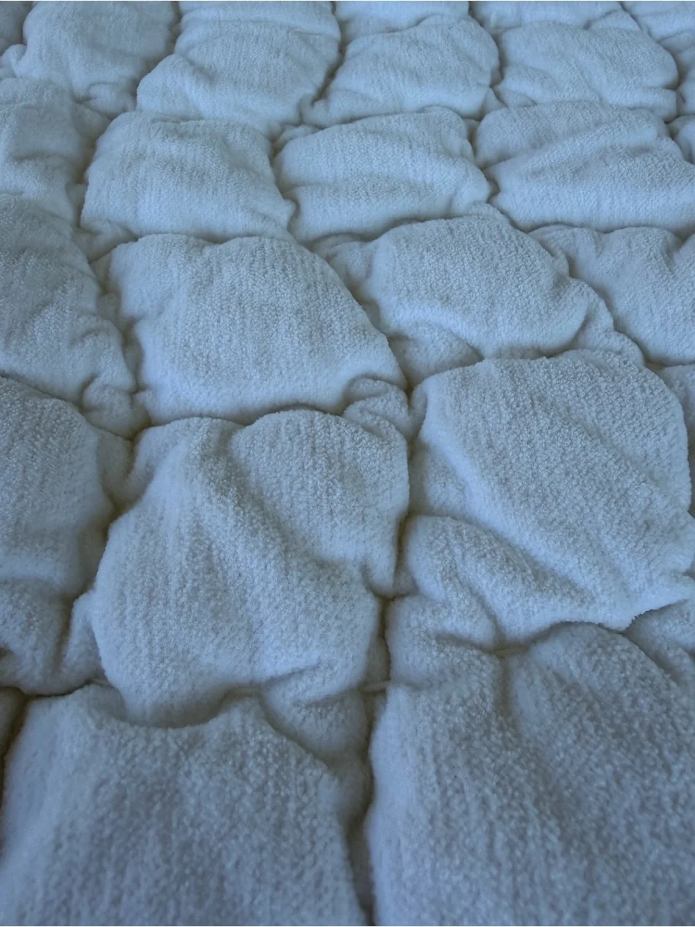 Pottery Barn Cozy Cloud 2-Piece King Sham Set Creamy White Cotton Chenille GUC